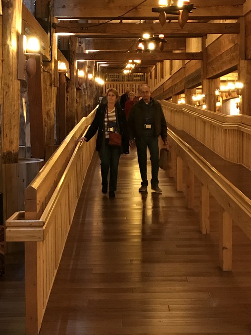 ./Gallery/ArkEncounter2018/IMG_6302JPG.jpg