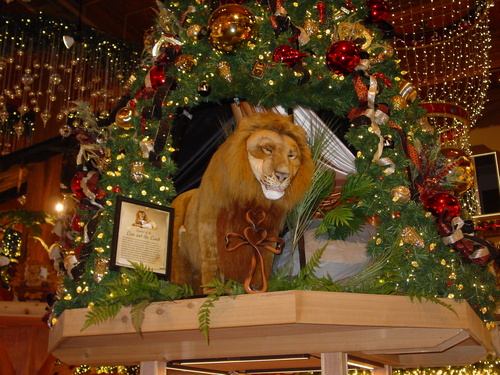 ./Gallery/Frankenmuth2018/DSC09362JPG.jpg