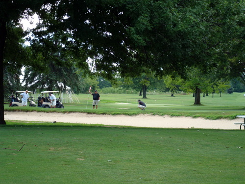 ./Gallery/GolfOuting7-24-10/DSC03690.JPG