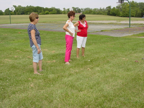 ./Gallery/Picnic2018/DSC09265JPG.jpg