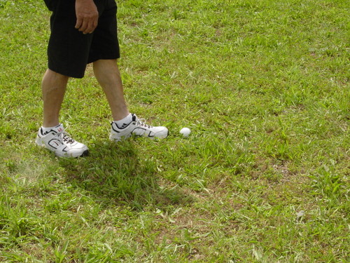 ./Gallery/Picnic7-28-13/DSC07608.JPG