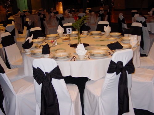 ./Gallery/PresidentialBall1-22-10/DSC06053.JPG