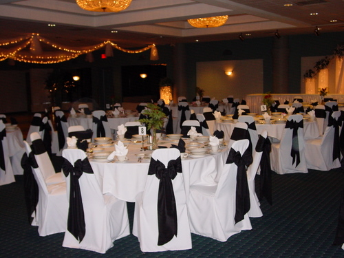 ./Gallery/PresidentialBall1-22-10/DSC06055.JPG